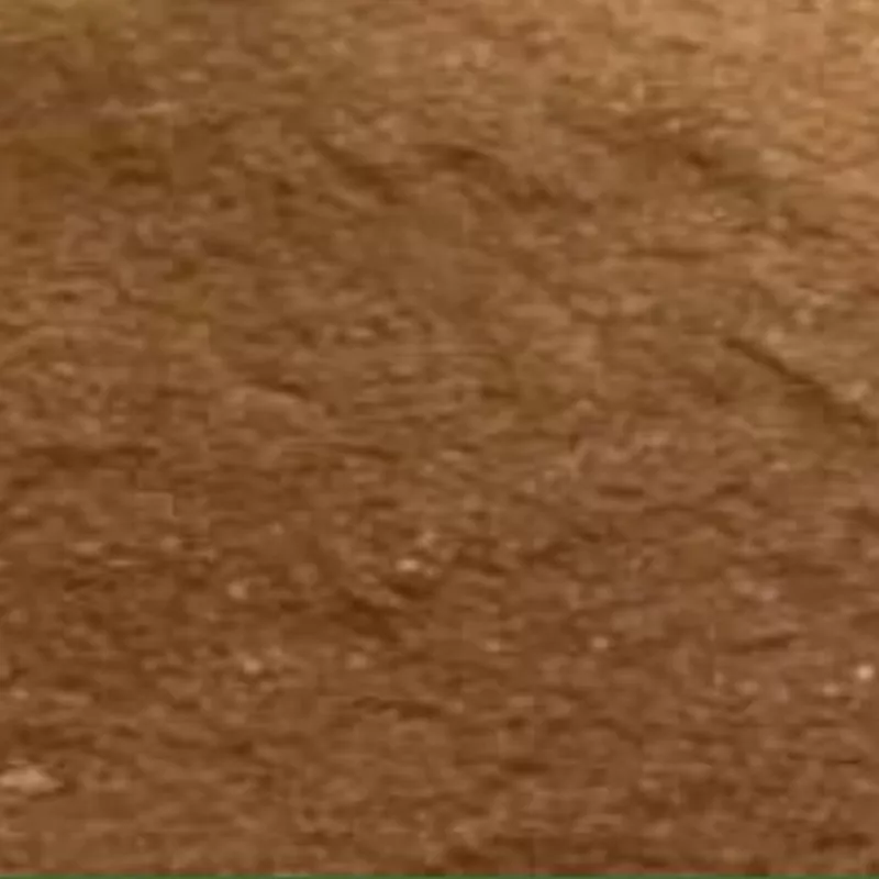 5kg Tobacco powder for Plants
