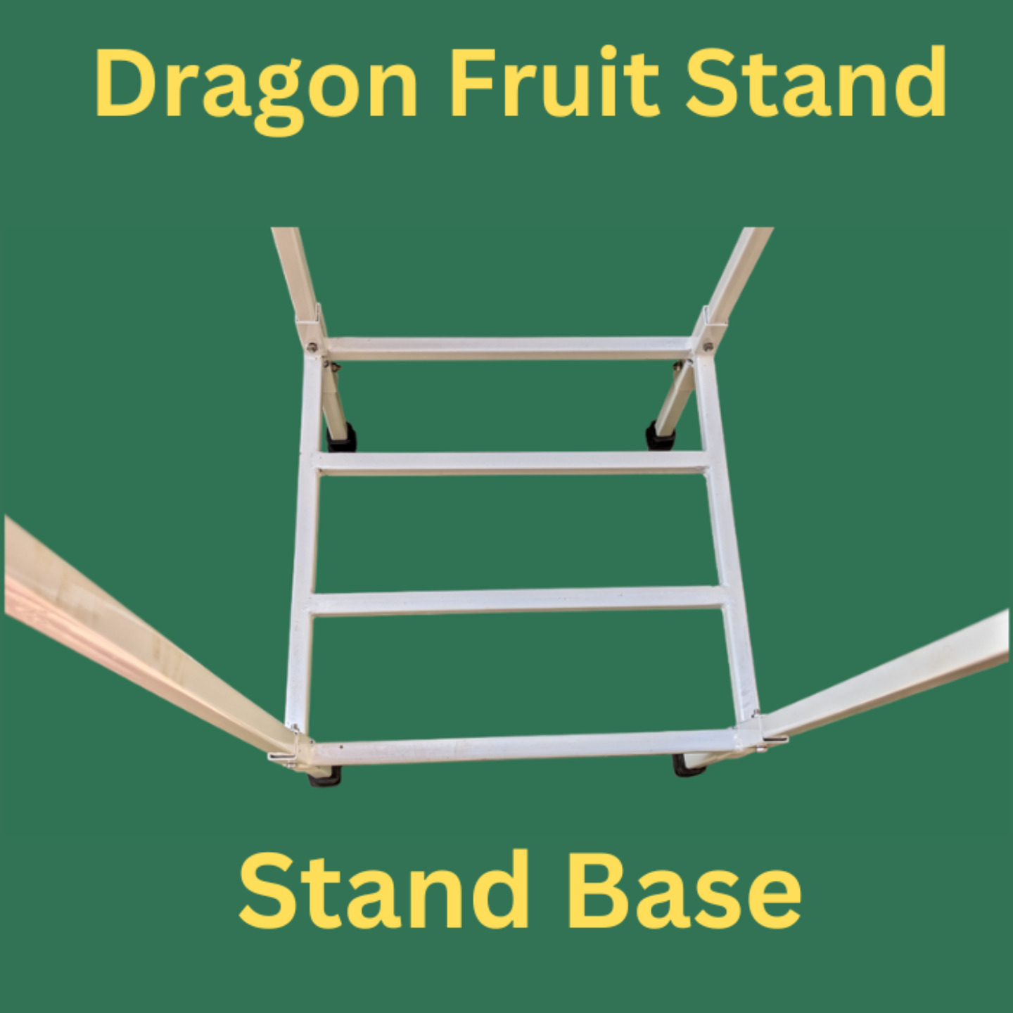 Stand for Dragon Fruit Plant