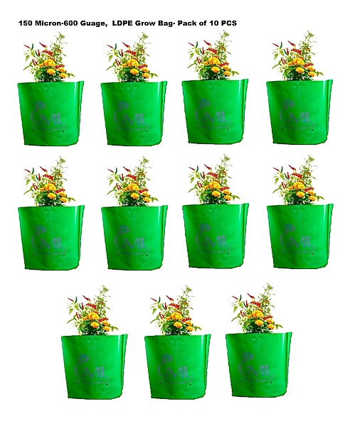 Green LDPE Grow Bag 12x12 inch (Pack of 10 Pcs)