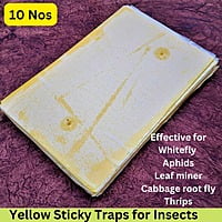 10 Nos pack of Yellow Sticky Trap for Insects A4 size (210*297)