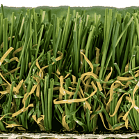 EverGreen™ - LG - 25