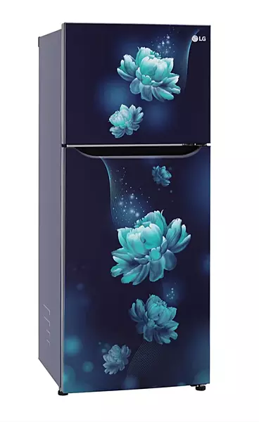 LG REF FF GL N292BBCY.DB