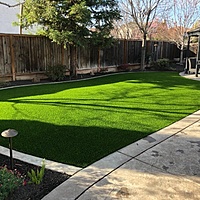 EverGreen™ - LG - 25