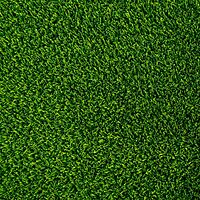 LushMeadow™ - LG - 30