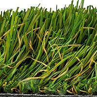 ForestGlade™ - LG - 50