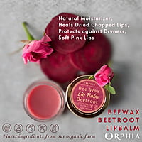 BEEWAX BEETROOT LIPBALM