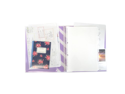 Kokuyo Papeleur Acte A4 Binder Wide Type Pink