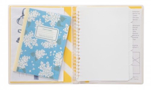 Kokuyo Papeleur Acte A5 Binder Middle Type Blue