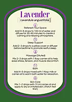 Lavender Essential Oil - 10ml