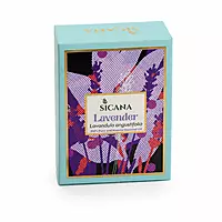 Lavender Essential Oil - 10ml
