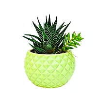 Diamond Cut Ceramic Pot for plants