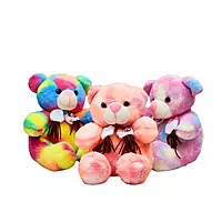Cute Plushies Rainbow Teddy Bear Toy