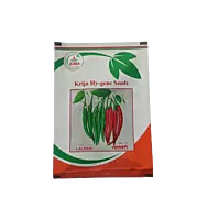 Chilli Lalpari