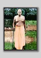 Swami Advaitananda Standard Photo