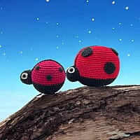 Crochet Ladybug Rattle