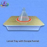 Larval Tray with Escape Funnel