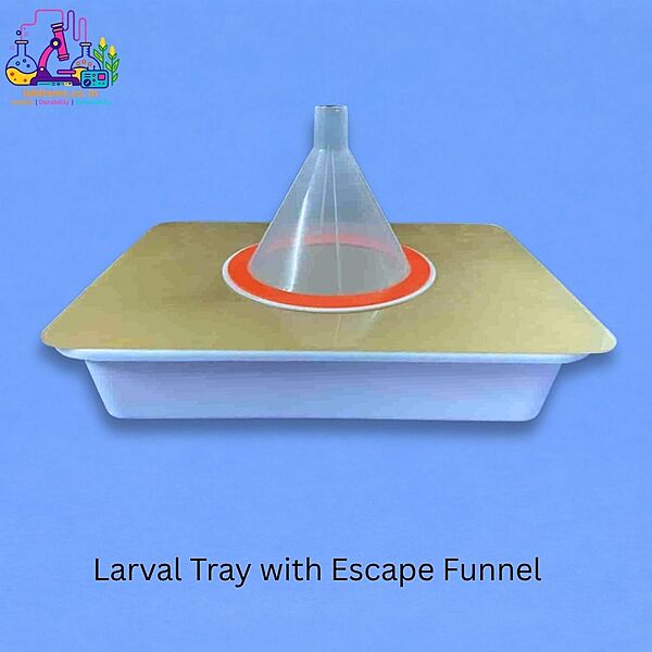 Larval Tray with Escape Funnel