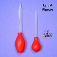 Larval pipettes for mosquito collections