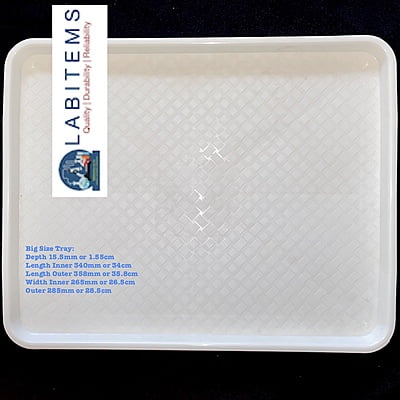 Larval sorting Tray Small with 29.1 cm x 18.8 cm x 1.8 cm depth