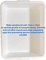 Larval tray - Metal mesh