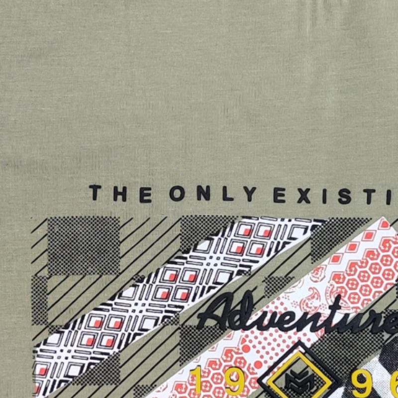 Laurel Green Printed Round Neck Tshirt