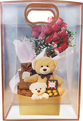 Pack of 6 Transparent Goodie Bags | Clear Medium Gift Bags for Return Gifts, Party Favors, Birthday, Wedding, Baby Shower | Brown Gift Bags