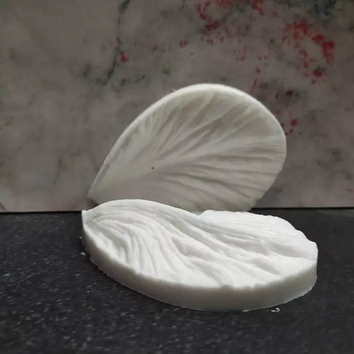 Leaves Mould
