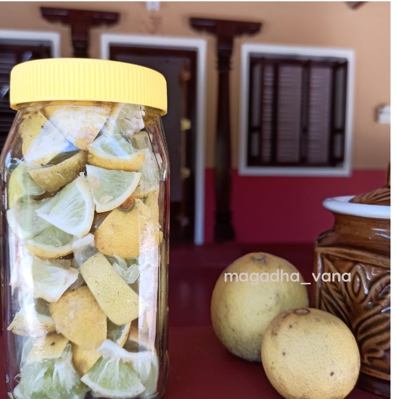 Preserved Lemon Preserved Lemon