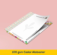 Letterheads Printed on 100 gsm JK cedar alabaster