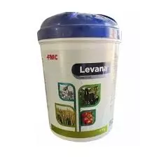 Levana-(Fmc)
