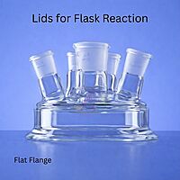 Lids for Flask Reaction - Flat Flange
