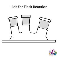 Lids for Flask Reaction - Flat Flange