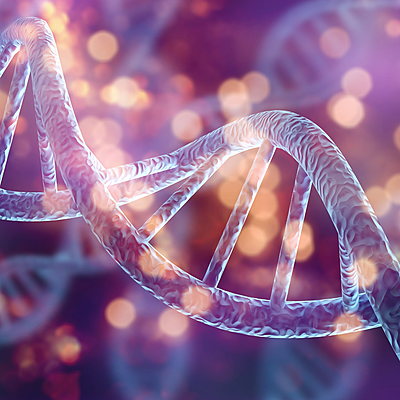 Life Blueprint Report (25–40 page + 1:1 session) - (1.5 hour session)