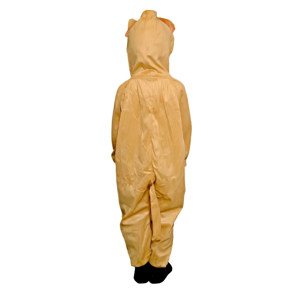 Lion Fancy Dress Costume Lion Fancy Dress Costume