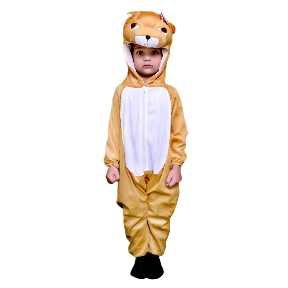 Lion Fancy Dress Costume Lion Fancy Dress Costume