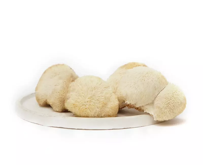 Lions Mane 200 Gms - Shroomery