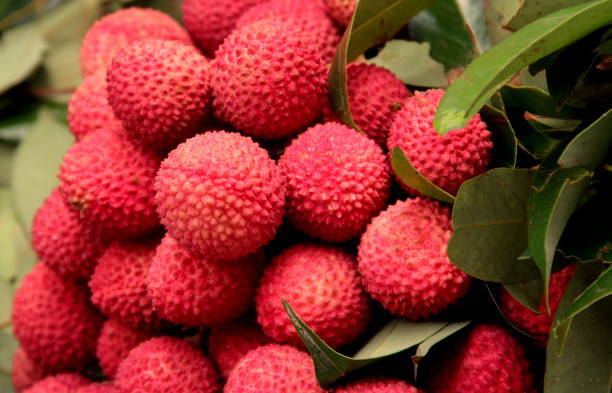 Litchi – Sweet, Juicy & Irresistibly Tropical