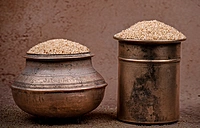 Little Millet