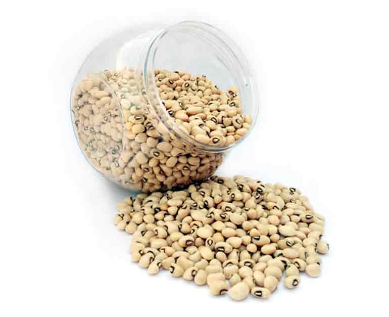 LOBIYA BEANS
