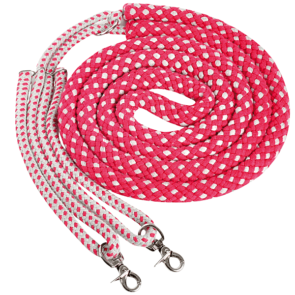 Waldhausen Lunging Aid System (Red/Grey) - Full