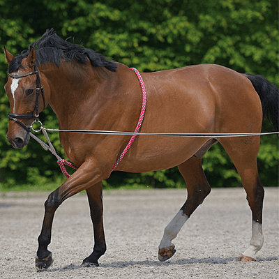 Waldhausen Lunging Aid System (Red/Grey) - Full