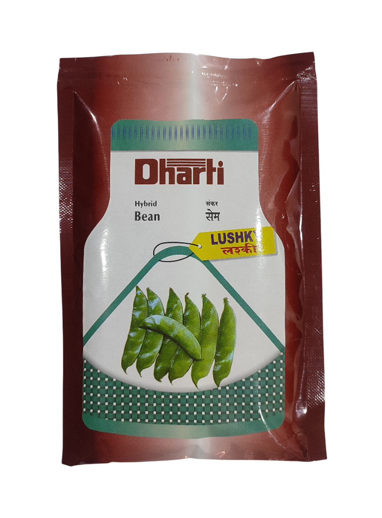 Hybrid Bean LUSHKY by Dharti Seeds