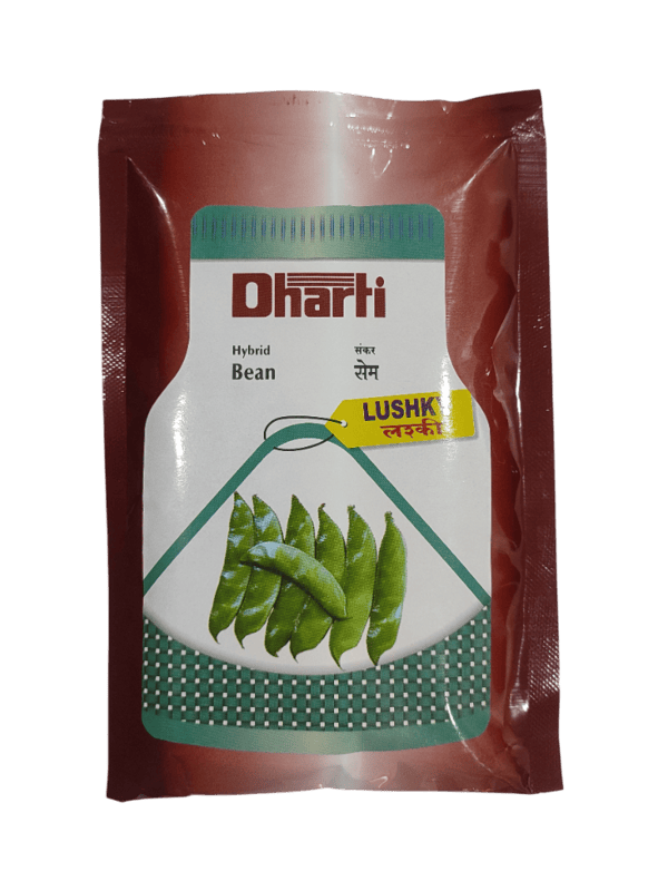 Hybrid Bean LUSHKY by Dharti Seeds