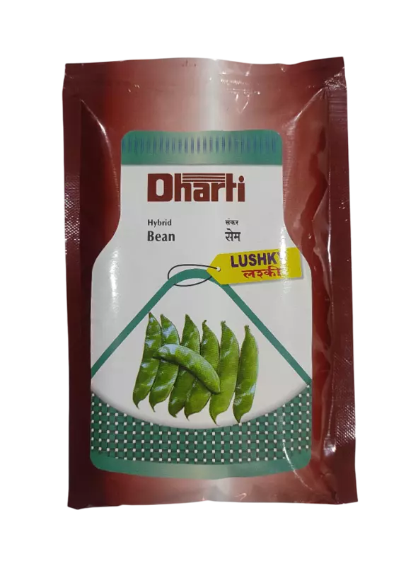 Hybrid Bean LUSHKY by Dharti Seeds