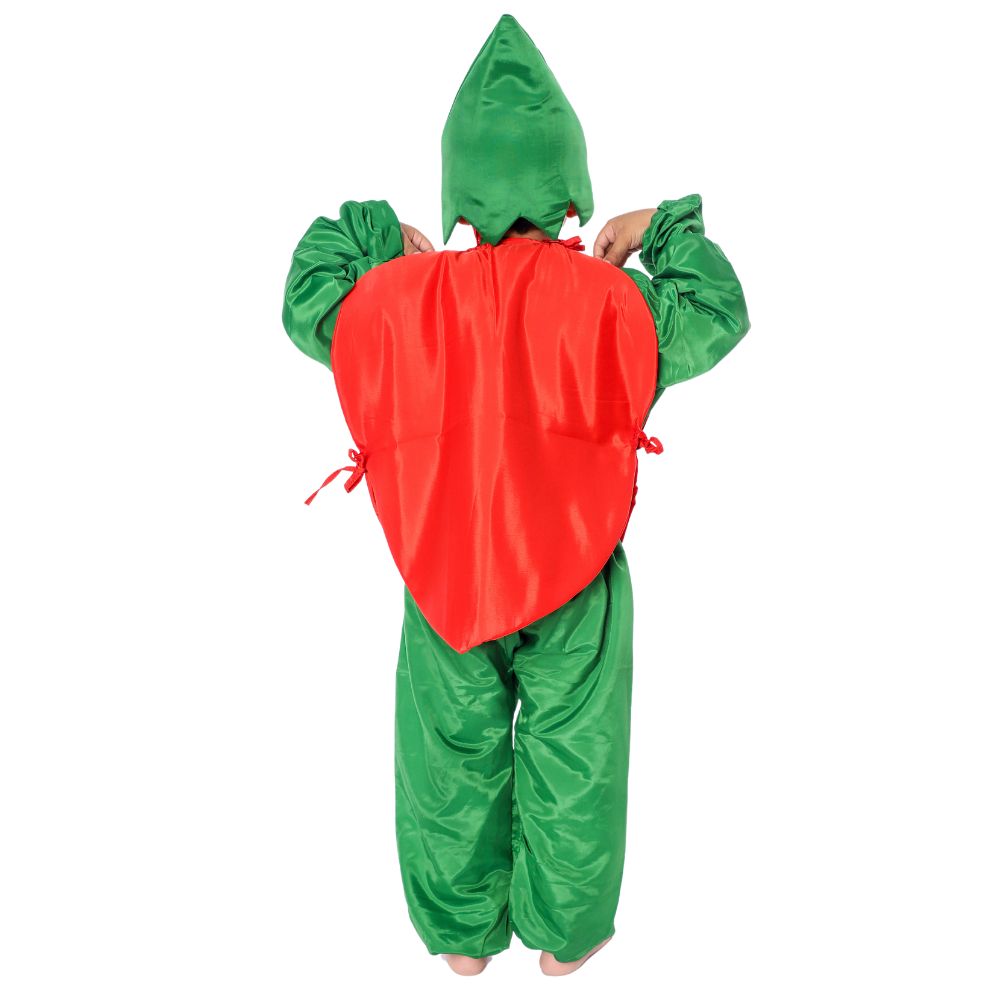 Lychee Fancy Dress Costume Lychee Fancy Dress Costume