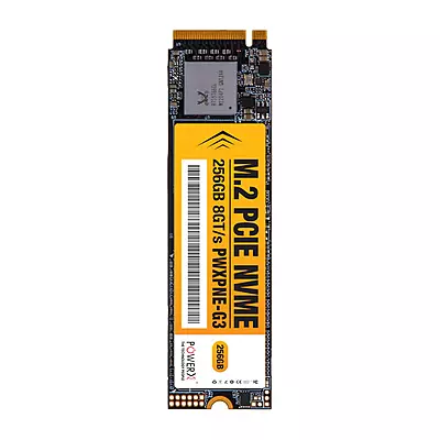 Power-X M.2 PCIE NVMe 256 GB SSD