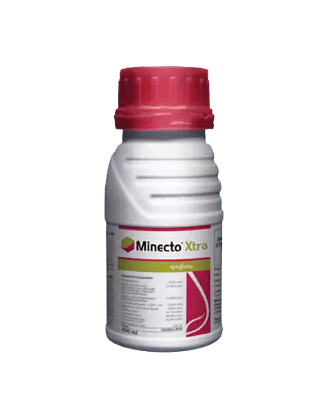 Minecto Xtra Insecticide – Fast-Acting, Long-Lasting Broad-Spectrum Pest Control - 20 ml