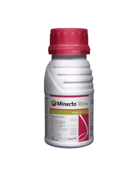 Minecto Xtra Insecticide – Fast-Acting, Long-Lasting Broad-Spectrum Pest Control - 20 ml