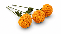 Marigold Large Flower Light Orange