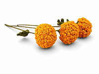 Marigold Large Flower Light Orange